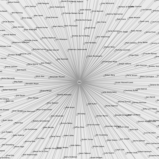Give Me My Data (fb_friends_20100704_ltgrey_detail)